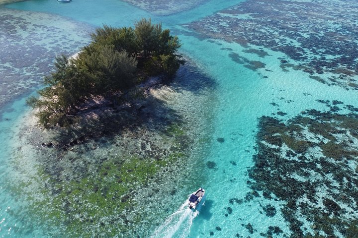 Small group snorkeling tour in the turquoise lagoon of Moorea, French Polynesia, with sharks and rays, photo 8 | wizardtrip