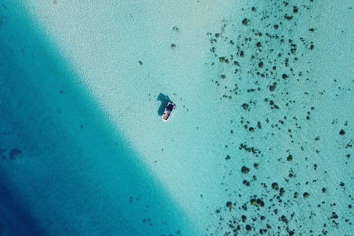 Small group snorkeling tour in the turquoise lagoon of Moorea, French Polynesia, with sharks and rays, photo 10 | wizardtrip