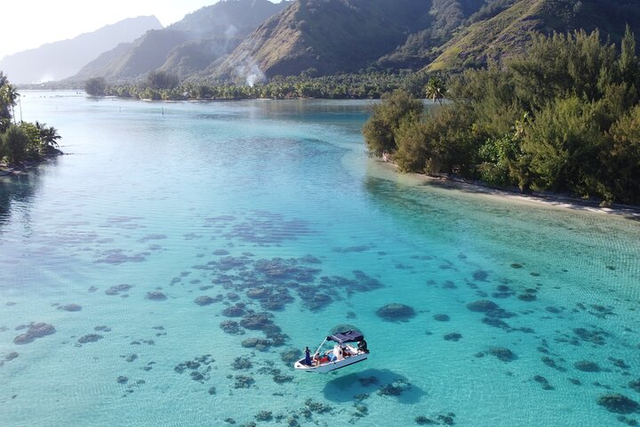 Small group snorkeling tour in the turquoise lagoon of Moorea, French Polynesia, with sharks and rays, photo 11 | wizardtrip