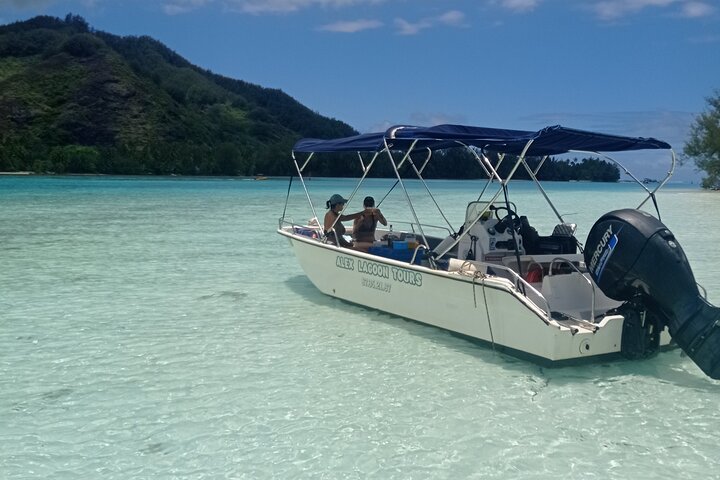 Small group snorkeling tour in the turquoise lagoon of Moorea, French Polynesia, with sharks and rays, photo 14 | wizardtrip