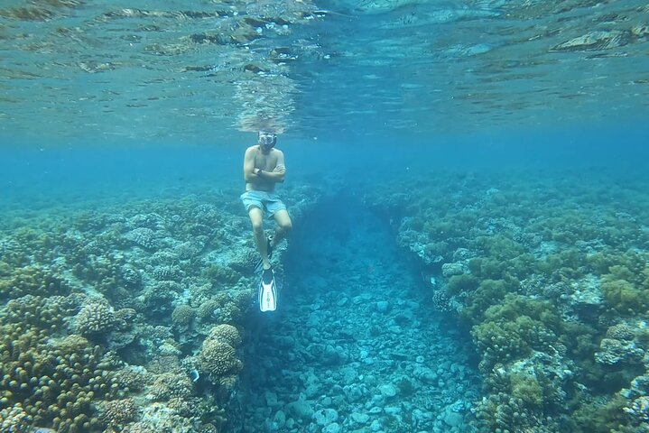 Small group snorkeling tour in the turquoise lagoon of Moorea, French Polynesia, with sharks and rays, photo 17 | wizardtrip