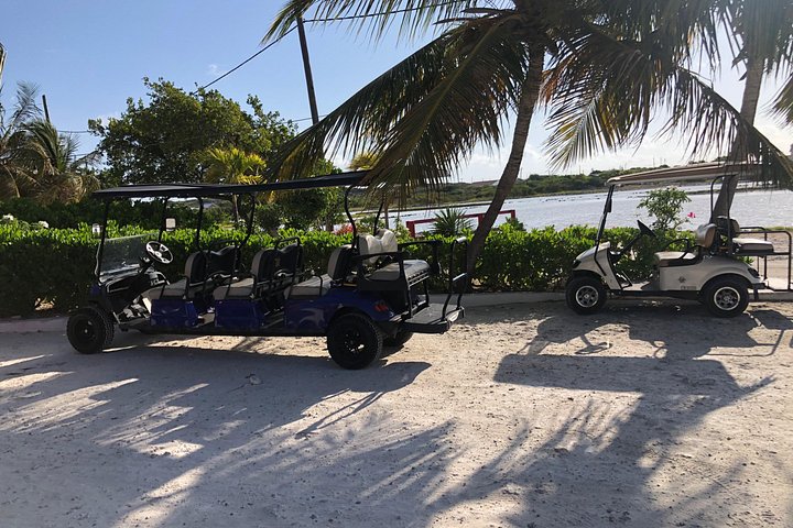 Mieten Sie einen Golfwagen, um die Insel Grand Turk in Ihrem eigenen Tempo zu erkunden, Foto 34 | wizardtrip