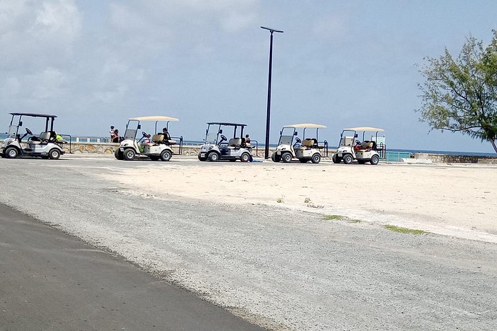 Mieten Sie einen Golfwagen, um die Insel Grand Turk in Ihrem eigenen Tempo zu erkunden, Foto 37 | wizardtrip