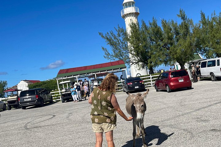 Mieten Sie einen Golfwagen, um die Insel Grand Turk in Ihrem eigenen Tempo zu erkunden, Foto 45 | wizardtrip