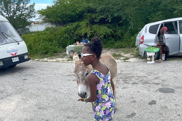 Mieten Sie einen Golfwagen, um die Insel Grand Turk in Ihrem eigenen Tempo zu erkunden, Foto 49 | wizardtrip