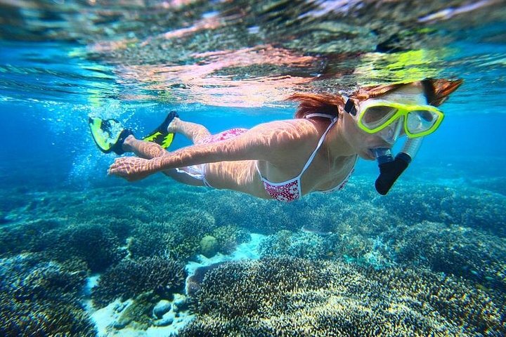 Katamaran-Segeltour um Sint Maarten mit Schnorcheln und Inselblick, Foto 3 | wizardtrip