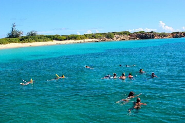 Katamaran sejlads og snorkling eventyr på St. Maarten, med stop ved smukke strande og muligheder for flyspotting, foto 4 | wizardtrip
