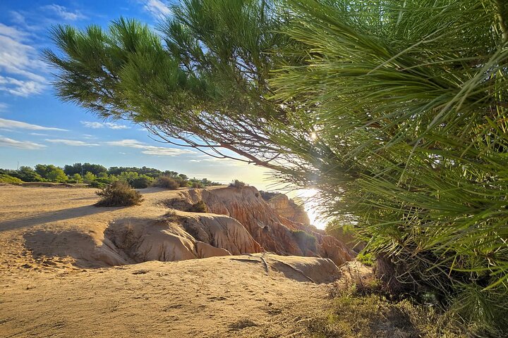 Guided hiking tour along the Algarve coast, exploring cliffs, caves, and beaches near Faro, Portugal, photo 11 | wizardtrip