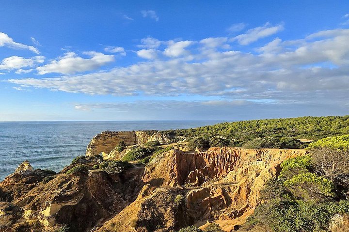 Guided hiking tour along the Algarve coast, exploring cliffs, caves, and beaches near Faro, Portugal, photo 16 | wizardtrip