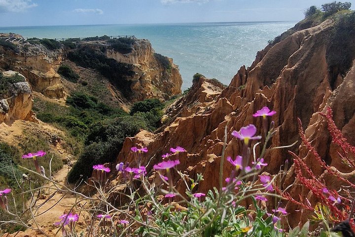 Guided hiking tour along the Algarve coast, exploring cliffs, caves, and beaches near Faro, Portugal, photo 40 | wizardtrip