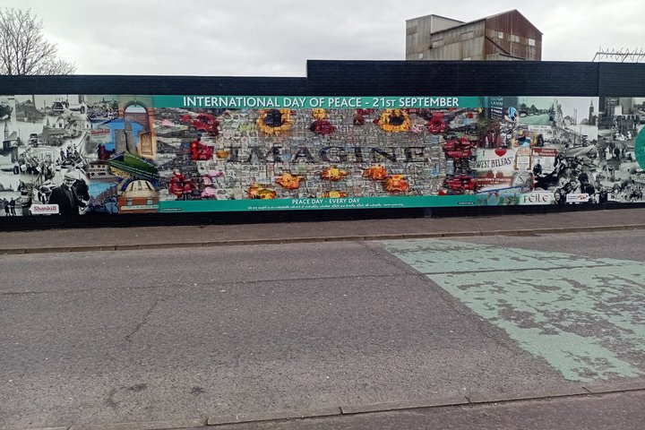 Ontdek de levendige politieke muurschilderingen en historische bezienswaardigheden van Belfast tijdens een privé taxitour met lokale gidsen, foto 18 | wizardtrip
