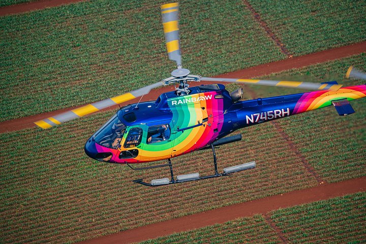 Tour en helicóptero sobre Oahu: Waikiki, Diamond Head y North Shore, foto 15 | wizardtrip