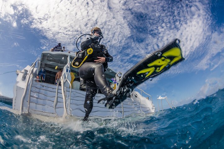 Heldagstur til Great Barrier Reef med snorkling og dykning fra Cairns ombord på Silverswift-katamaranen, foto 7 | wizardtrip