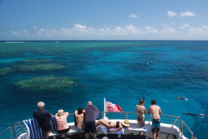 Heldagstur til Great Barrier Reef med snorkling og dykning fra Cairns ombord på Silverswift-katamaranen, foto 10 | wizardtrip