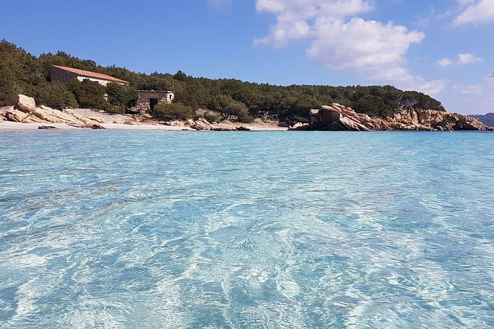 Passeio de catamarã explorando as águas turquesa e as ilhas do Arquipélago de La Maddalena, Sardenha, foto 24 | wizardtrip