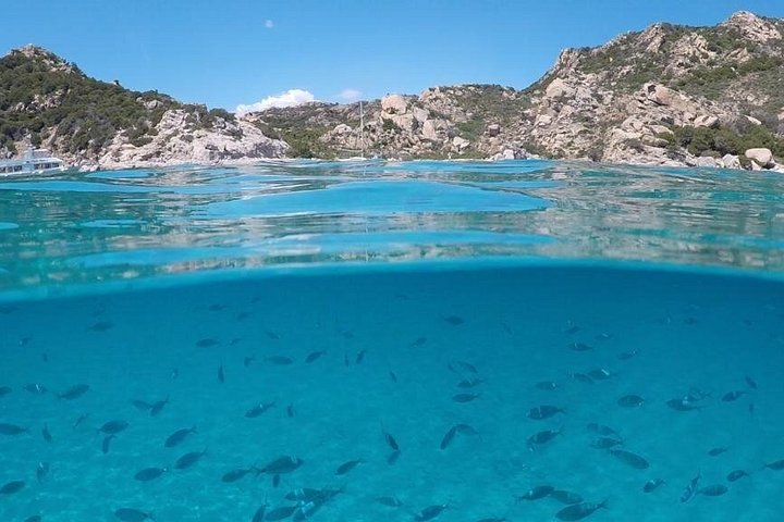 Passeio de catamarã no Arquipélago da Madalena, Sardenha, com natação e snorkeling em águas turquesa, foto 31 | wizardtrip