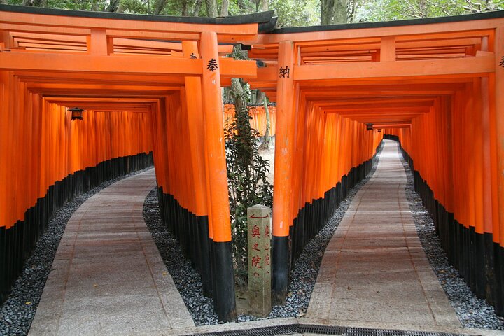 Full-day bus tour of Kyoto's iconic temples, shrines, and bamboo forest, photo 1 | wizardtrip