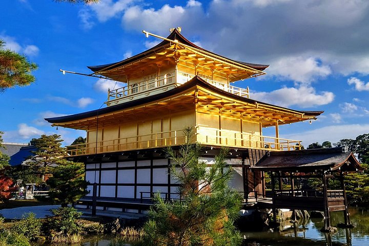 Ganztägige Bustour zu Kyotos ikonischen Tempeln, Schreinen und Bambushain, Foto 27 | wizardtrip