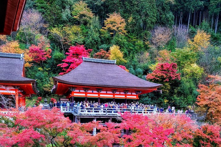 Ganztägige Bustour zu Kyotos ikonischen Tempeln, Schreinen und Bambushain, Foto 29 | wizardtrip