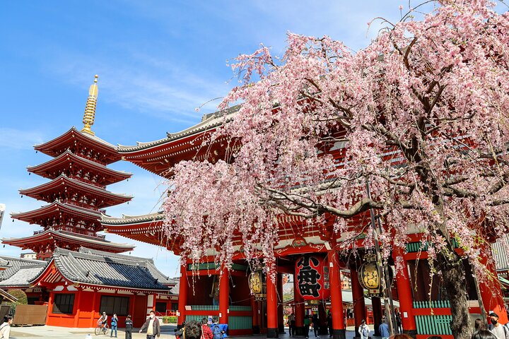 A comprehensive 1-day bus tour of Tokyo's landmarks, including Skytree, shrines, and a bay cruise, photo 1 | wizardtrip