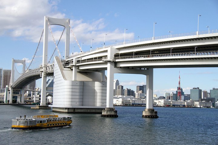 Een uitgebreide 1-daagse bustour langs de bezienswaardigheden van Tokio, inclusief Skytree, tempels en een baaicruise, foto 12 | wizardtrip