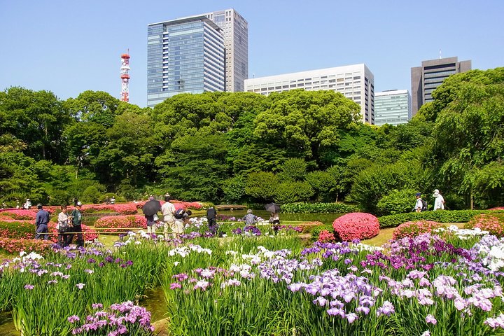 Een uitgebreide 1-daagse bustour langs de bezienswaardigheden van Tokio, inclusief Skytree, tempels en een baaicruise, foto 23 | wizardtrip