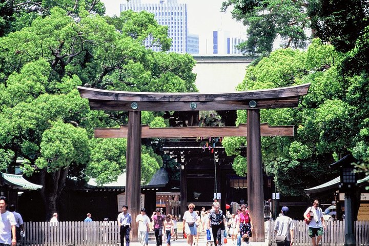 Een uitgebreide 1-daagse bustour langs de bezienswaardigheden van Tokio, inclusief Skytree, tempels en een baaicruise, foto 26 | wizardtrip