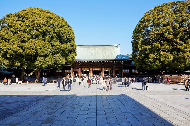 Een uitgebreide 1-daagse bustour langs de bezienswaardigheden van Tokio, inclusief Skytree, tempels en een baaicruise, foto 28 | wizardtrip