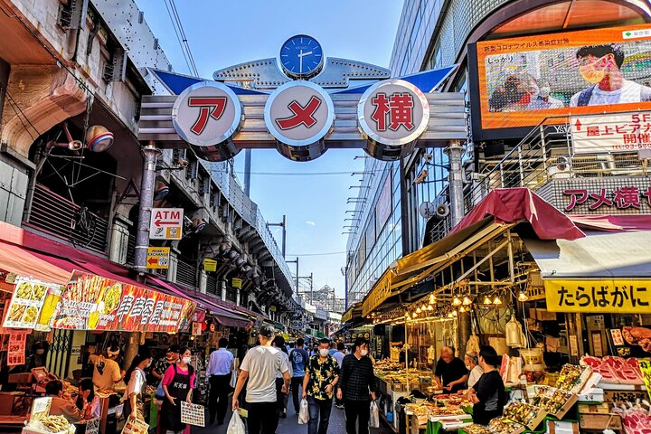 Een uitgebreide 1-daagse bustour langs de bezienswaardigheden van Tokio, inclusief Skytree, tempels en een baaicruise, foto 32 | wizardtrip