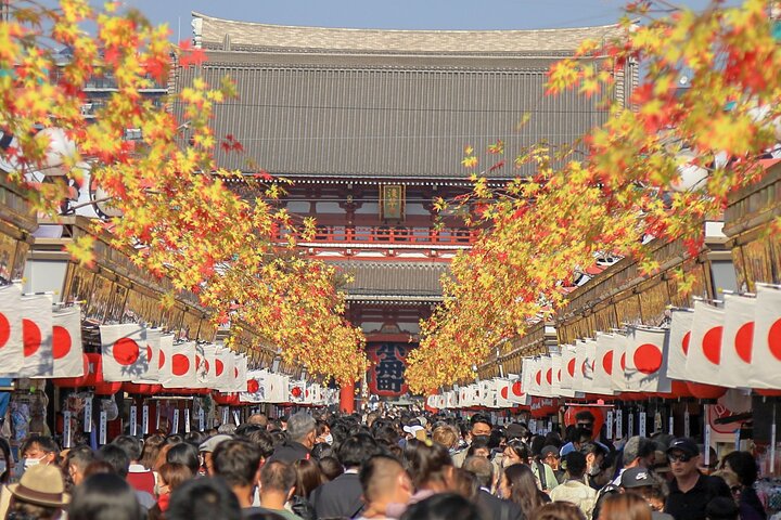 Een uitgebreide 1-daagse bustour langs de bezienswaardigheden van Tokio, inclusief Skytree, tempels en een baaicruise, foto 39 | wizardtrip