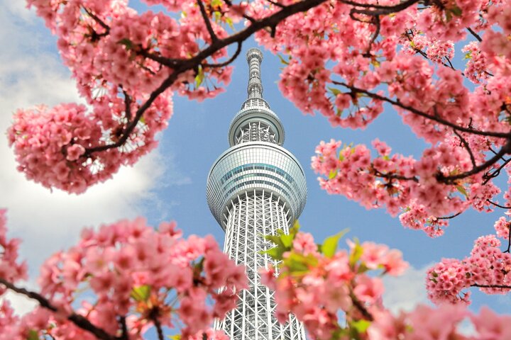 Een uitgebreide 1-daagse bustour langs de bezienswaardigheden van Tokio, inclusief Skytree, tempels en een baaicruise, foto 42 | wizardtrip