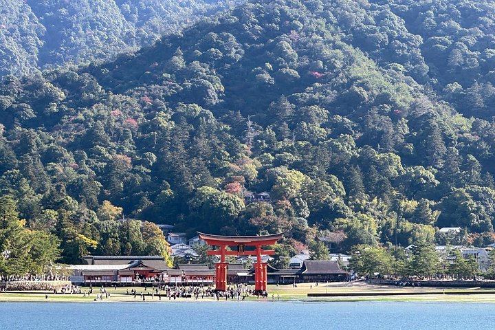 Hiroshima og Miyajima dagstur med Atombombekuppelen, Itsukushima-helligdommen og lokal mad, foto 16 | wizardtrip