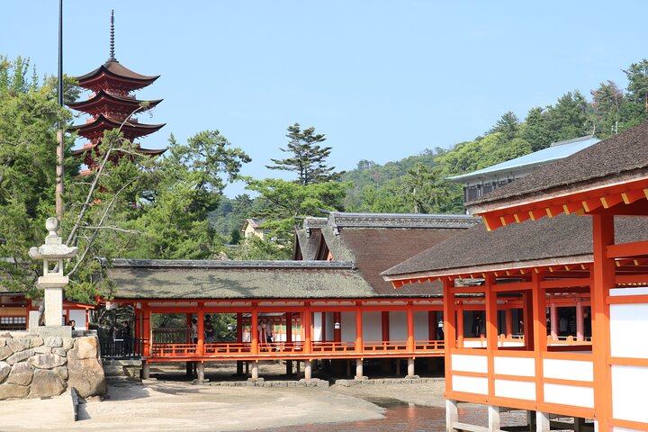 Hiroshima og Miyajima dagstur med Atombombekuppelen, Itsukushima-helligdommen og lokal mad, foto 22 | wizardtrip