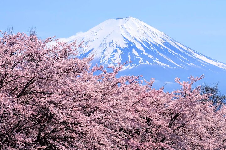 東京発富士箱根日帰り旅行、景観と文化的な名所、写真6 | wizardtrip
