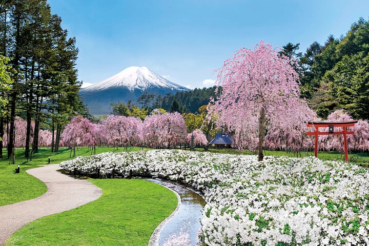 東京発富士箱根日帰り旅行、景観と文化的な名所、写真45 | wizardtrip