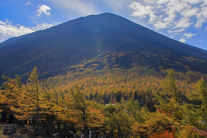Dagtocht naar Mt. Fuji en Hakone vanuit Tokio, inclusief terugreis per hogesnelheidstrein, foto 45 | wizardtrip