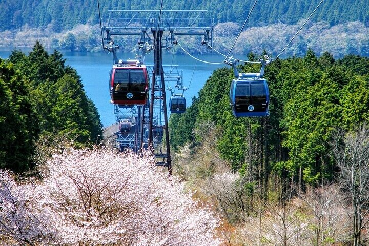 Dagtocht naar Mt. Fuji en Hakone vanuit Tokio, inclusief terugreis per hogesnelheidstrein, foto 49 | wizardtrip