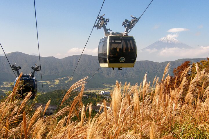 Dagtocht naar Mt. Fuji en Hakone vanuit Tokio, inclusief terugreis per hogesnelheidstrein, foto 50 | wizardtrip