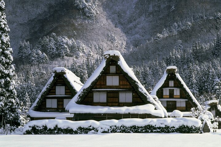 Ganztägige Tour von Kanazawa nach Shirakawa-go und Kanazawa Stadt mit kulturellen Erlebnissen, Foto 11 | wizardtrip