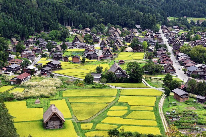Ganztägige Tour von Kanazawa nach Shirakawa-go und Kanazawa Stadt mit kulturellen Erlebnissen, Foto 12 | wizardtrip