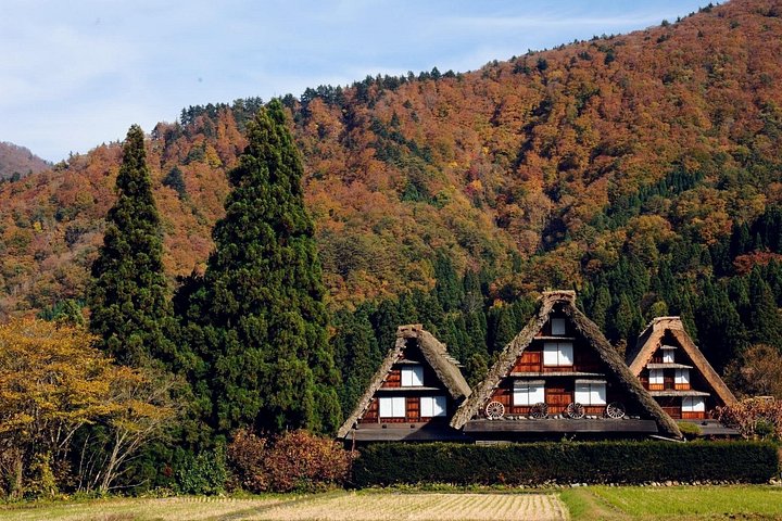 Ganztägige Tour von Kanazawa nach Shirakawa-go und Kanazawa Stadt mit kulturellen Erlebnissen, Foto 25 | wizardtrip