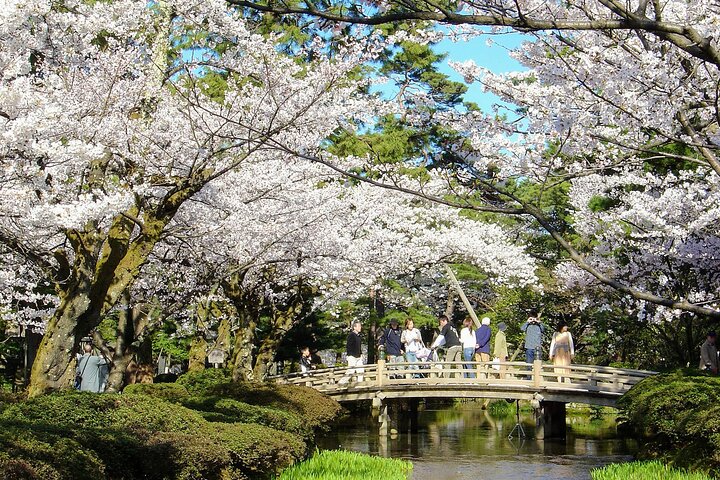 Ganztägige Tour von Kanazawa nach Shirakawa-go und Kanazawa Stadt mit kulturellen Erlebnissen, Foto 32 | wizardtrip