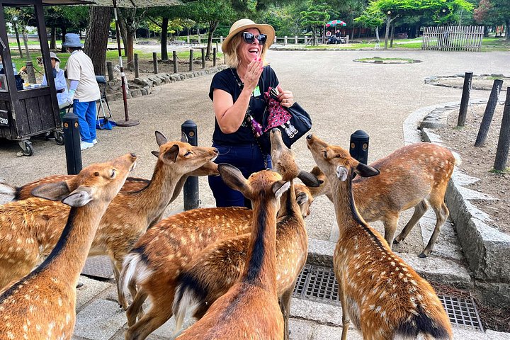 Kyoto och Nara-tur med antika tempel, vänliga hjortar och en matcha-teceremoni, foto 8 | wizardtrip