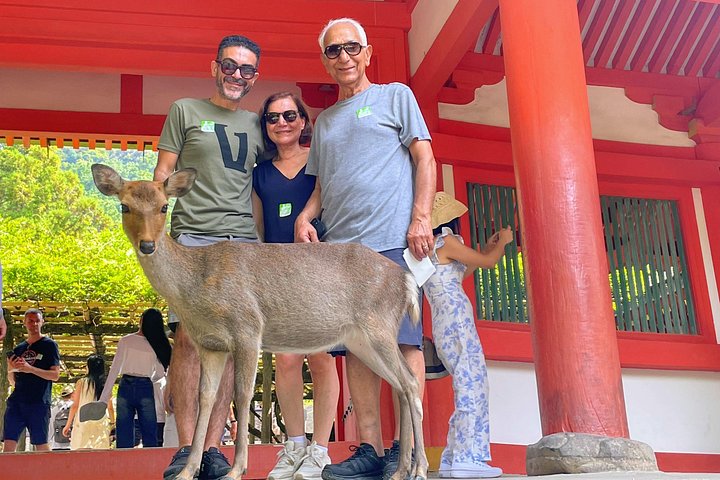 Kyoto och Nara-tur med antika tempel, vänliga hjortar och en matcha-teceremoni, foto 9 | wizardtrip