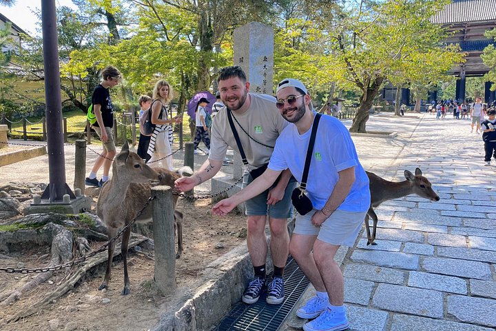 Kyoto och Nara-tur med antika tempel, vänliga hjortar och en matcha-teceremoni, foto 11 | wizardtrip