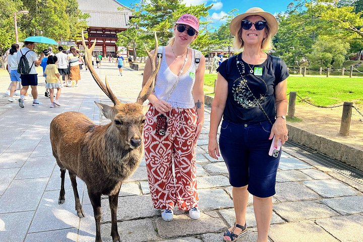 Kyoto och Nara-tur med antika tempel, vänliga hjortar och en matcha-teceremoni, foto 13 | wizardtrip
