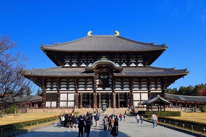 Kyoto och Nara-tur med antika tempel, vänliga hjortar och en matcha-teceremoni, foto 19 | wizardtrip