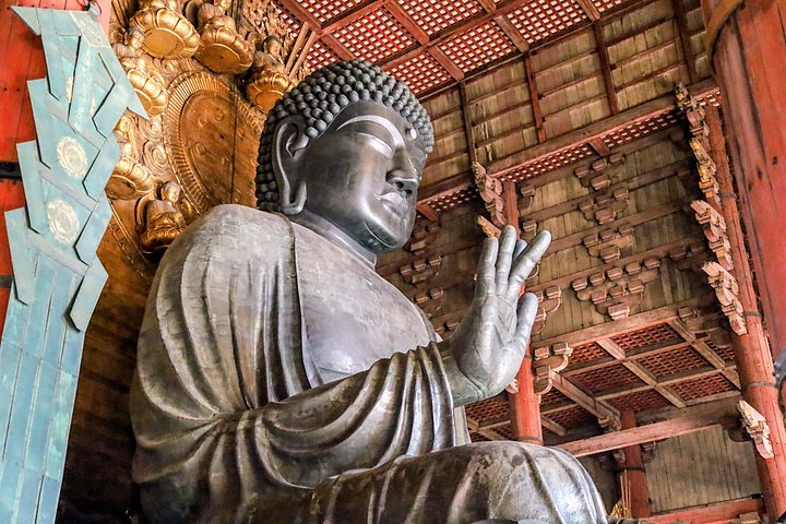 Kyoto och Nara-tur med antika tempel, vänliga hjortar och en matcha-teceremoni, foto 20 | wizardtrip