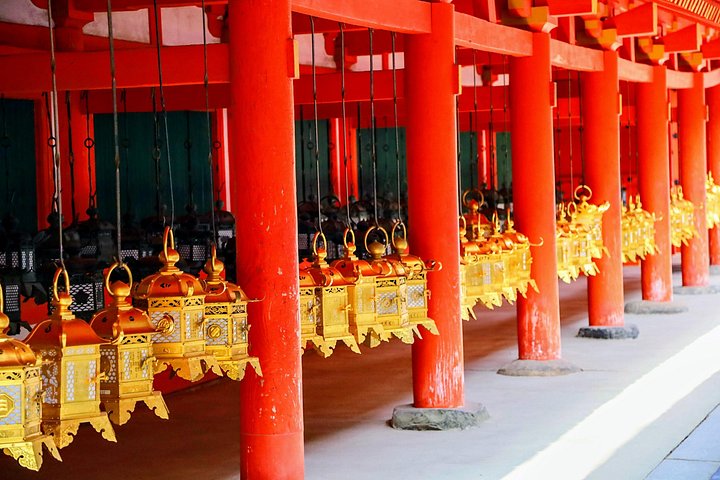 Kyoto och Nara-tur med antika tempel, vänliga hjortar och en matcha-teceremoni, foto 23 | wizardtrip