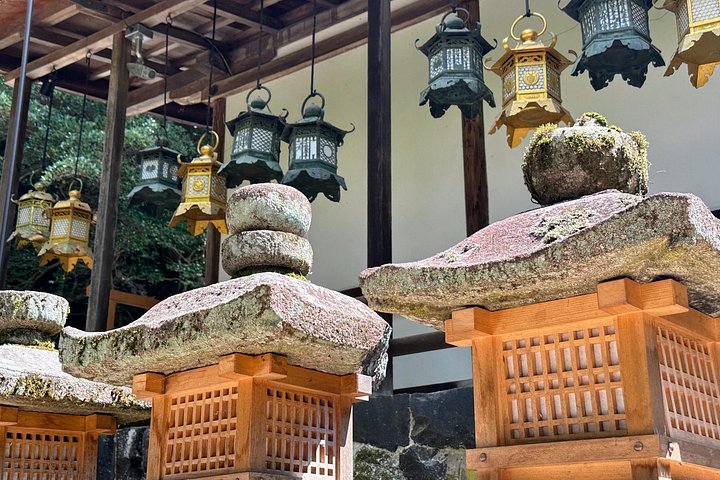 Kyoto och Nara-tur med antika tempel, vänliga hjortar och en matcha-teceremoni, foto 25 | wizardtrip